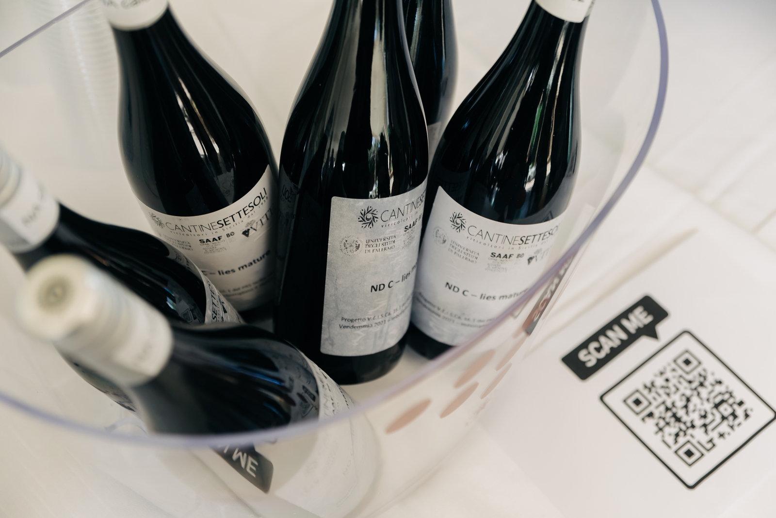 Workshop del 10 marzo - UNIPA